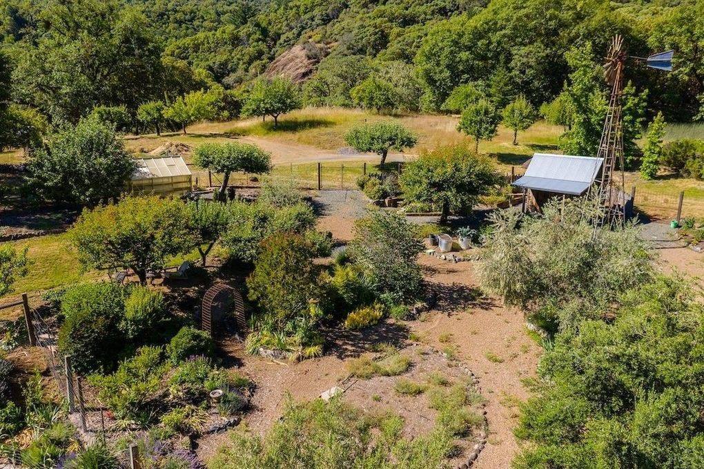 Windmill and garden beds at Owl Moon Ranch
